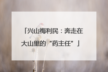 兴山梅利民：奔走在大山里的“药主任”