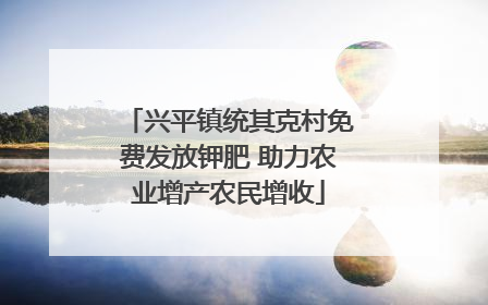 兴平镇统其克村免费发放钾肥 助力农业增产农民增收