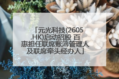 元光科技(2605.HK)启动招股 百惠担任联席账簿管理人及联席牵头经办人