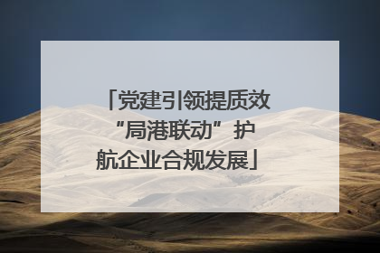 党建引领提质效 “局港联动”护航企业合规发展