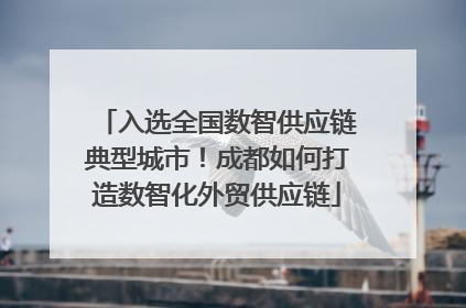 入选全国数智供应链典型城市！成都如何打造数智化外贸供应链
