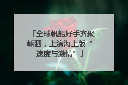 全球帆船好手齐聚嵊泗，上演海上版“速度与激情”