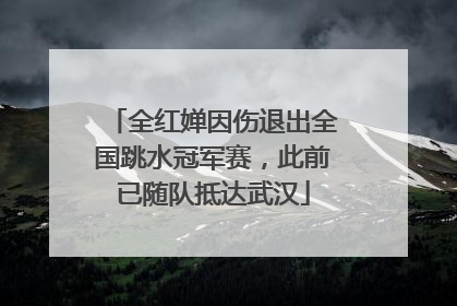全红婵因伤退出全国跳水冠军赛，此前已随队抵达武汉