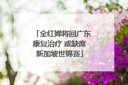 全红婵将回广东康复治疗 或缺席新加坡世锦赛