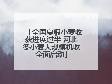 全国夏粮小麦收获进度过半 河北冬小麦大规模机收全面启动