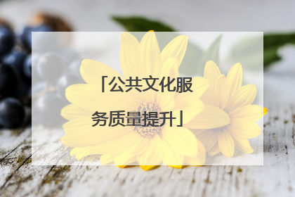 公共文化服务质量提升