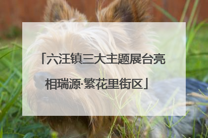六汪镇三大主题展台亮相瑞源·繁花里街区