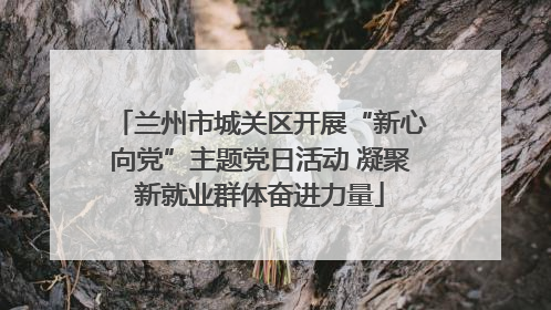 兰州市城关区开展“新心向党”主题党日活动 凝聚新就业群体奋进力量