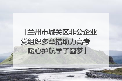 兰州市城关区非公企业党组织多举措助力高考 暖心护航学子圆梦