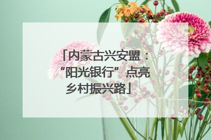 内蒙古兴安盟：“阳光银行”点亮乡村振兴路