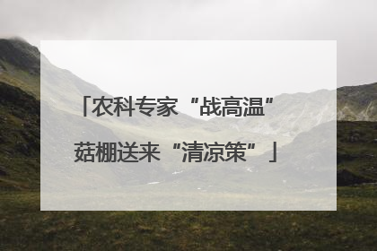 农科专家“战高温” 菇棚送来“清凉策”