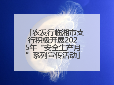 农发行临湘市支行积极开展2025年“安全生产月”系列宣传活动