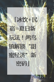 冰饮+民宿=夏日新玩法！鸬鸟镇解锁“甜蜜经济”新密码