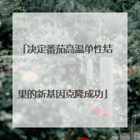 决定番茄高温单性结果的新基因克隆成功