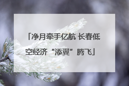 净月牵手亿航 长春低空经济“添翼”腾飞