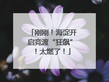 刚刚！海淀开启竞渡“狂飙”！太燃了！