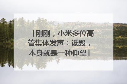 刚刚，小米多位高管集体发声：诋毁，本身就是一种仰望