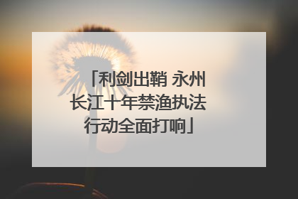 利剑出鞘 永州长江十年禁渔执法行动全面打响