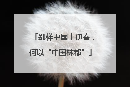 别样中国丨伊春，何以“中国林都”
