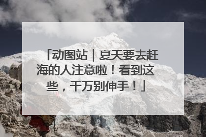 动图站｜夏天要去赶海的人注意啦！看到这些，千万别伸手！