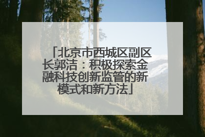 北京市西城区副区长郭洁：积极探索金融科技创新监管的新模式和新方法