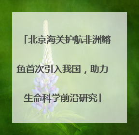 北京海关护航非洲鳉鱼首次引入我国，助力生命科学前沿研究