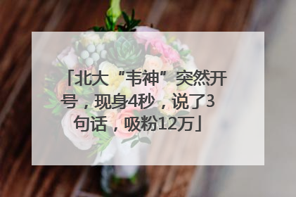 北大“韦神”突然开号，现身4秒，说了3句话，吸粉12万