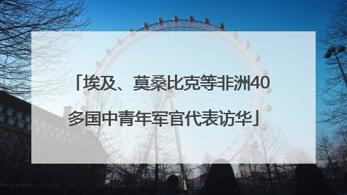 埃及、莫桑比克等非洲40多国中青年军官代表访华
