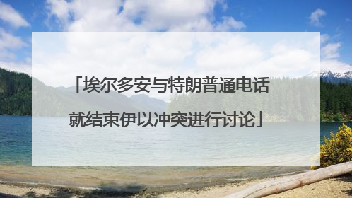 埃尔多安与特朗普通电话 就结束伊以冲突进行讨论