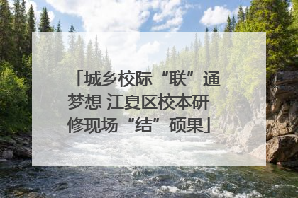 城乡校际“联”通梦想 江夏区校本研修现场“结”硕果