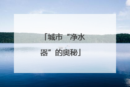 城市“净水器”的奥秘
