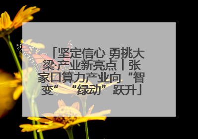 坚定信心 勇挑大梁·产业新亮点丨张家口算力产业向“智变”“绿动”跃升