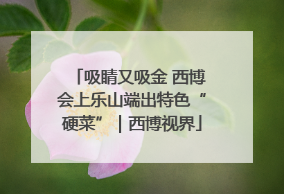 吸睛又吸金 西博会上乐山端出特色“硬菜”｜西博视界