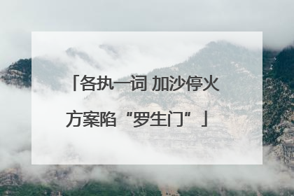 各执一词 加沙停火方案陷“罗生门”
