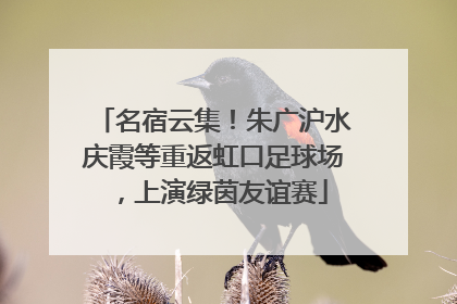 名宿云集！朱广沪水庆霞等重返虹口足球场，上演绿茵友谊赛