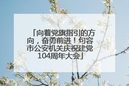 向着党旗指引的方向，奋勇前进！句容市公安机关庆祝建党104周年大会
