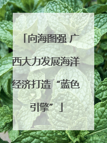 向海图强 广西大力发展海洋经济打造“蓝色引擎”