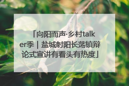 向阳而声·乡村talker季｜盐城射阳长荡镇辩论式宣讲有看头有热度