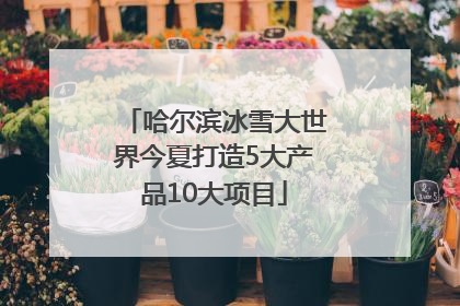 哈尔滨冰雪大世界今夏打造5大产品10大项目