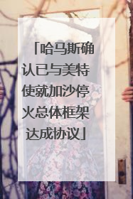 哈马斯确认已与美特使就加沙停火总体框架达成协议