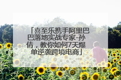 喜至乐携手阿里巴巴落地实战专家-孙倩，教你如何7天爆单逆袭跨境电商