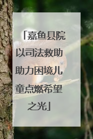 嘉鱼县院以司法救助助力困境儿童点燃希望之光