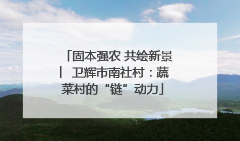 固本强农 共绘新景 ︳卫辉市南社村：蔬菜村的“链”动力