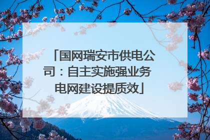 国网瑞安市供电公司：自主实施强业务 电网建设提质效
