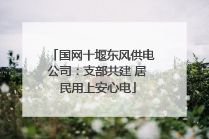 国网十堰东风供电公司：支部共建 居民用上安心电