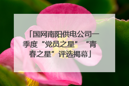 国网南阳供电公司一季度“党员之星”“青春之星”评选揭幕