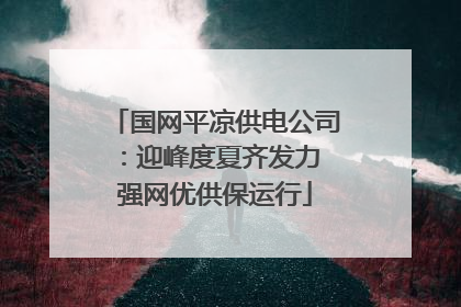 国网平凉供电公司：迎峰度夏齐发力 强网优供保运行
