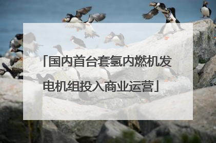 国内首台套氢内燃机发电机组投入商业运营