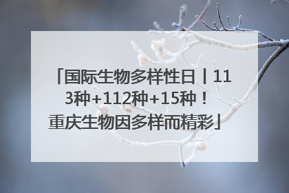 国际生物多样性日丨113种+112种+15种！重庆生物因多样而精彩