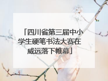 四川省第三届中小学生硬笔书法大赛在威远落下帷幕